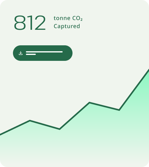 Monitor project performance continuously