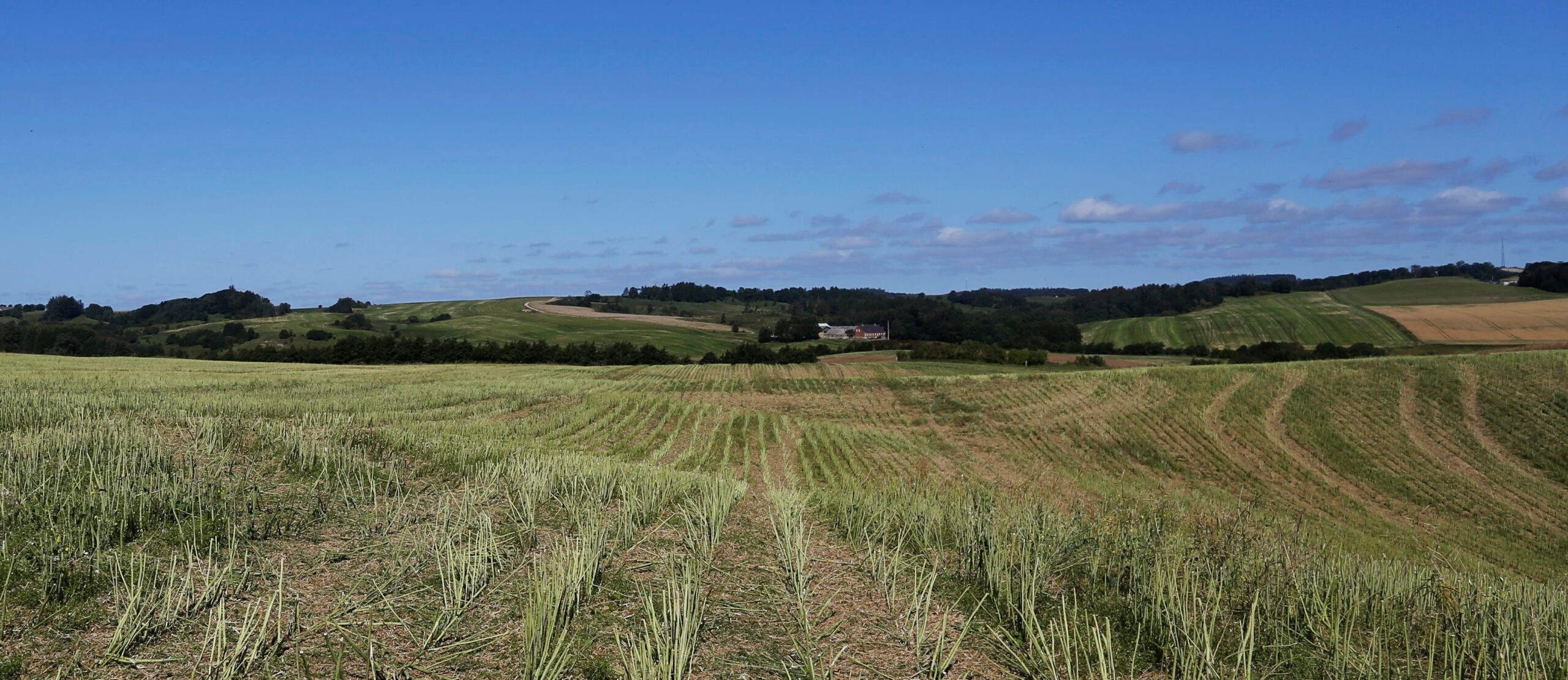 Understed Bakker