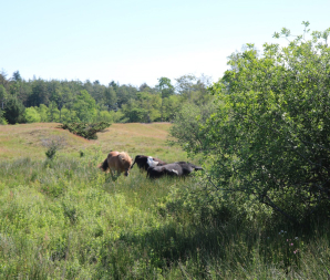 Alling Naturpark