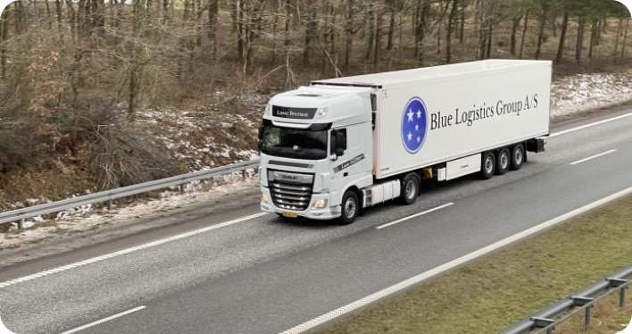 Double Materiality Assessment & ESG Report : Blue Logistics Group