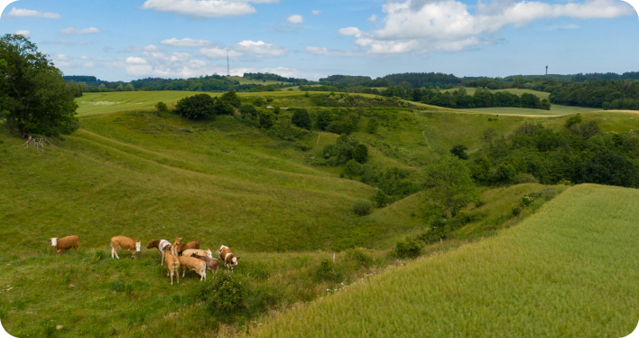 A unique investment opportunity focused on quantifying biodiversity impact and restoring nature at Understed Bakker in Northern Jutland